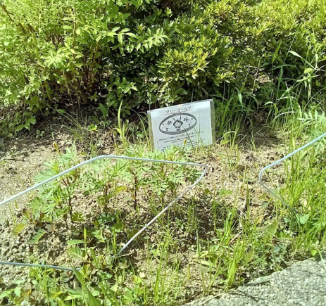 室外①.jpg