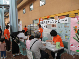 img_0702.jpg